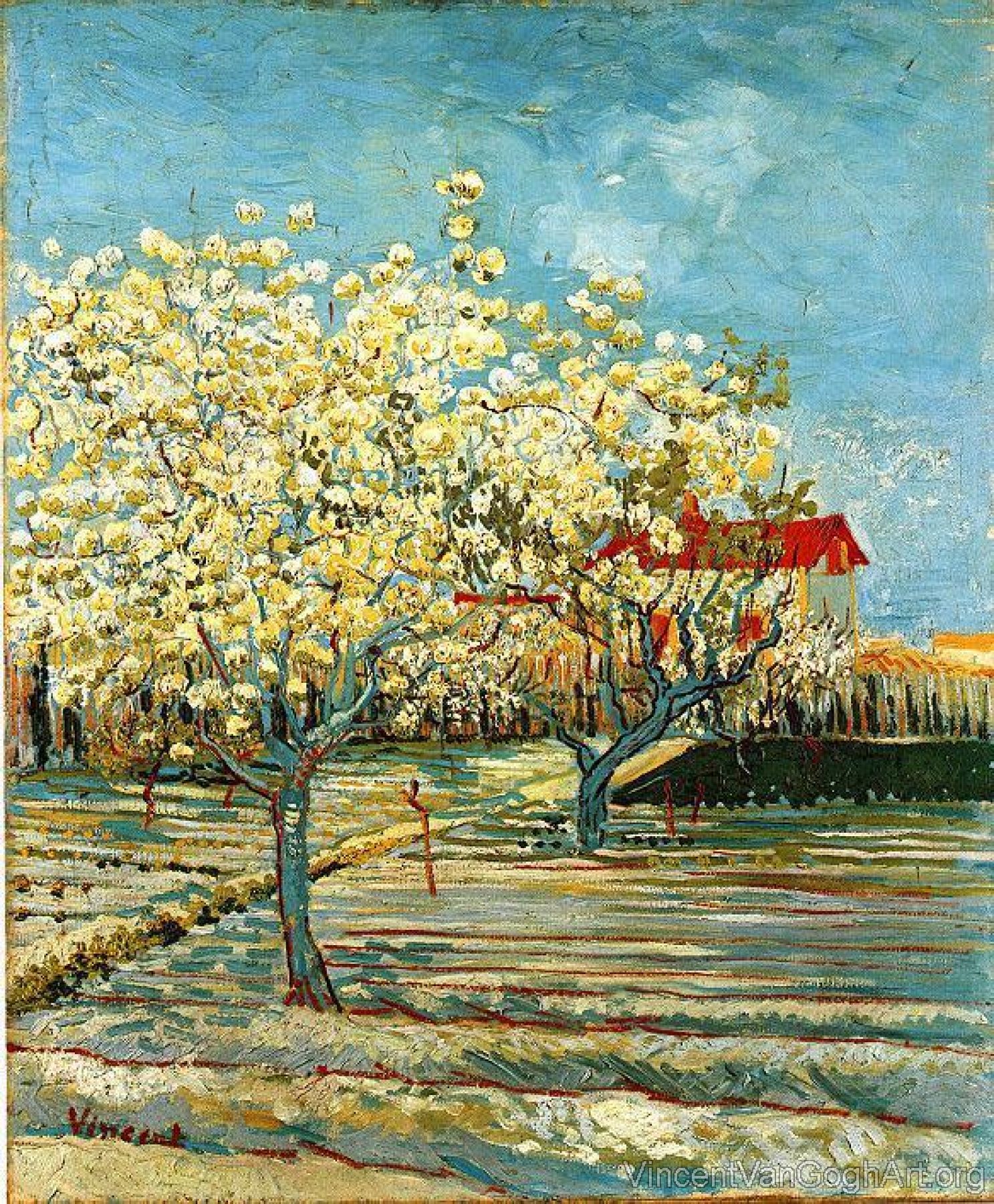 Orchard in Blossom II